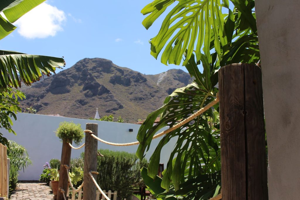 Imagen de una montaña al fondo con vegetación tropical en primer plano, ideal para representar paisajes naturales.